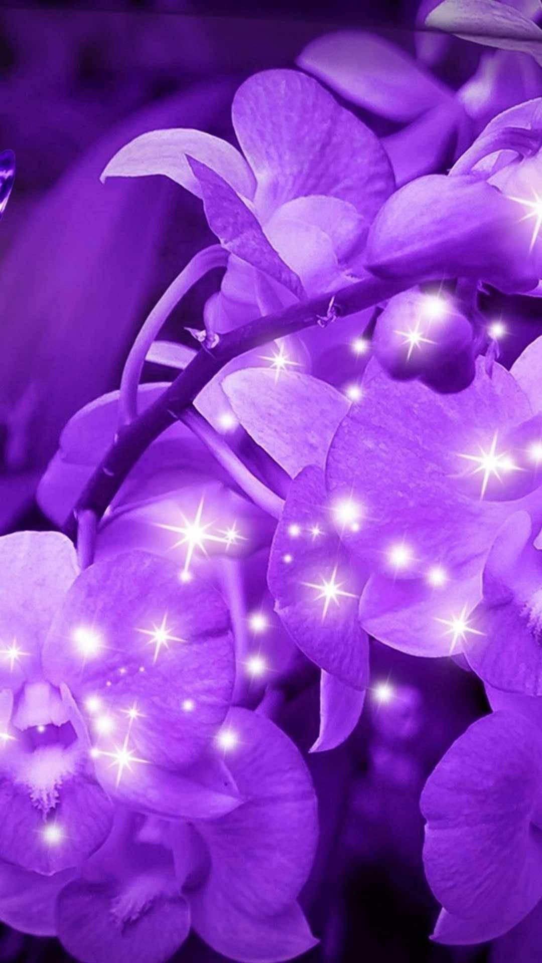 aesthetic purple flower, vibrant purple orchids, glow, Full HD Phone Wallpaper