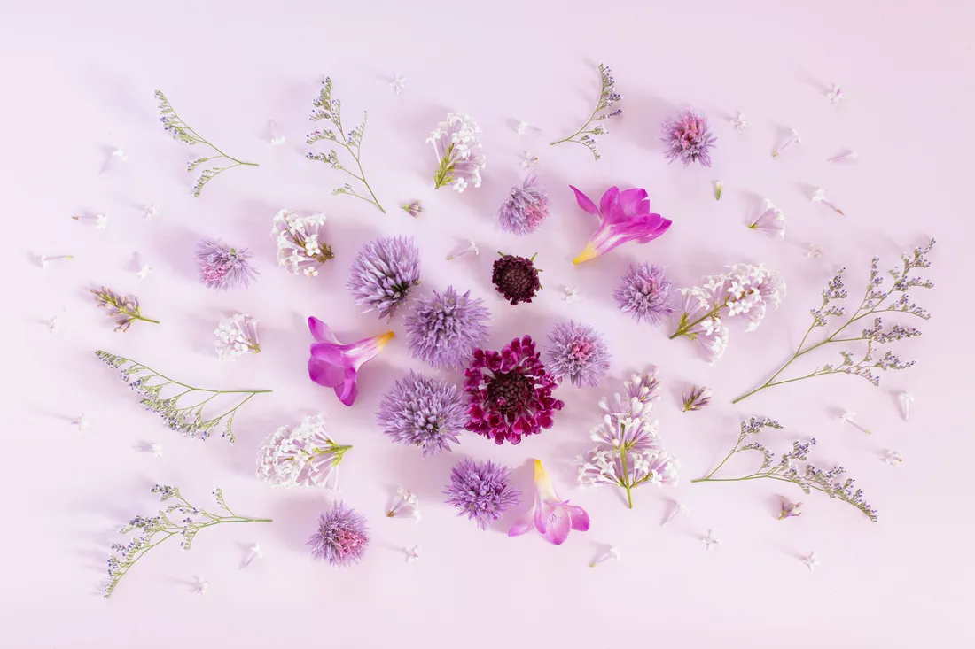 Purple Flowers