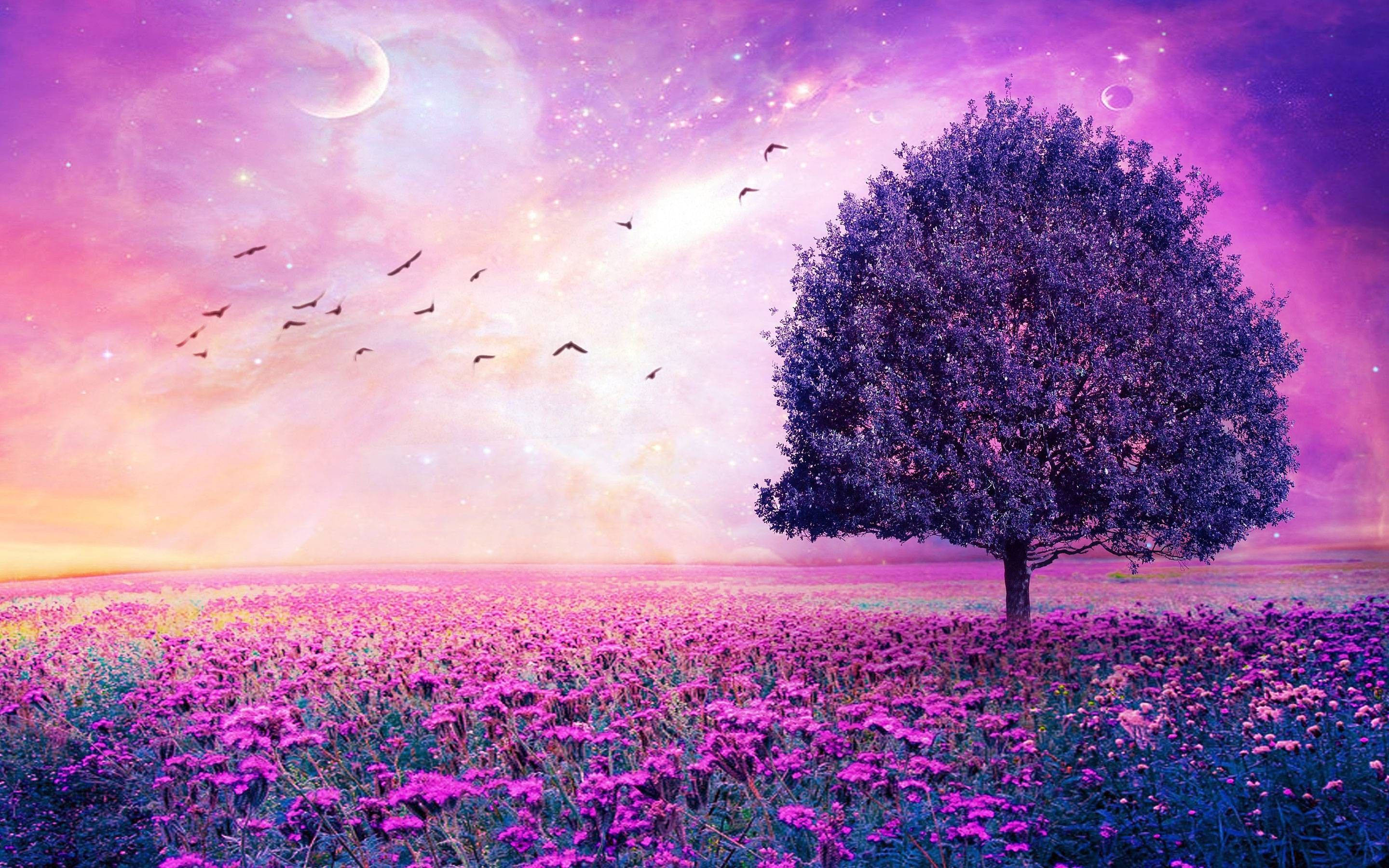 purple tree, pink flowers, dreamy cosmic sky, 2K Desktop Wallpaper