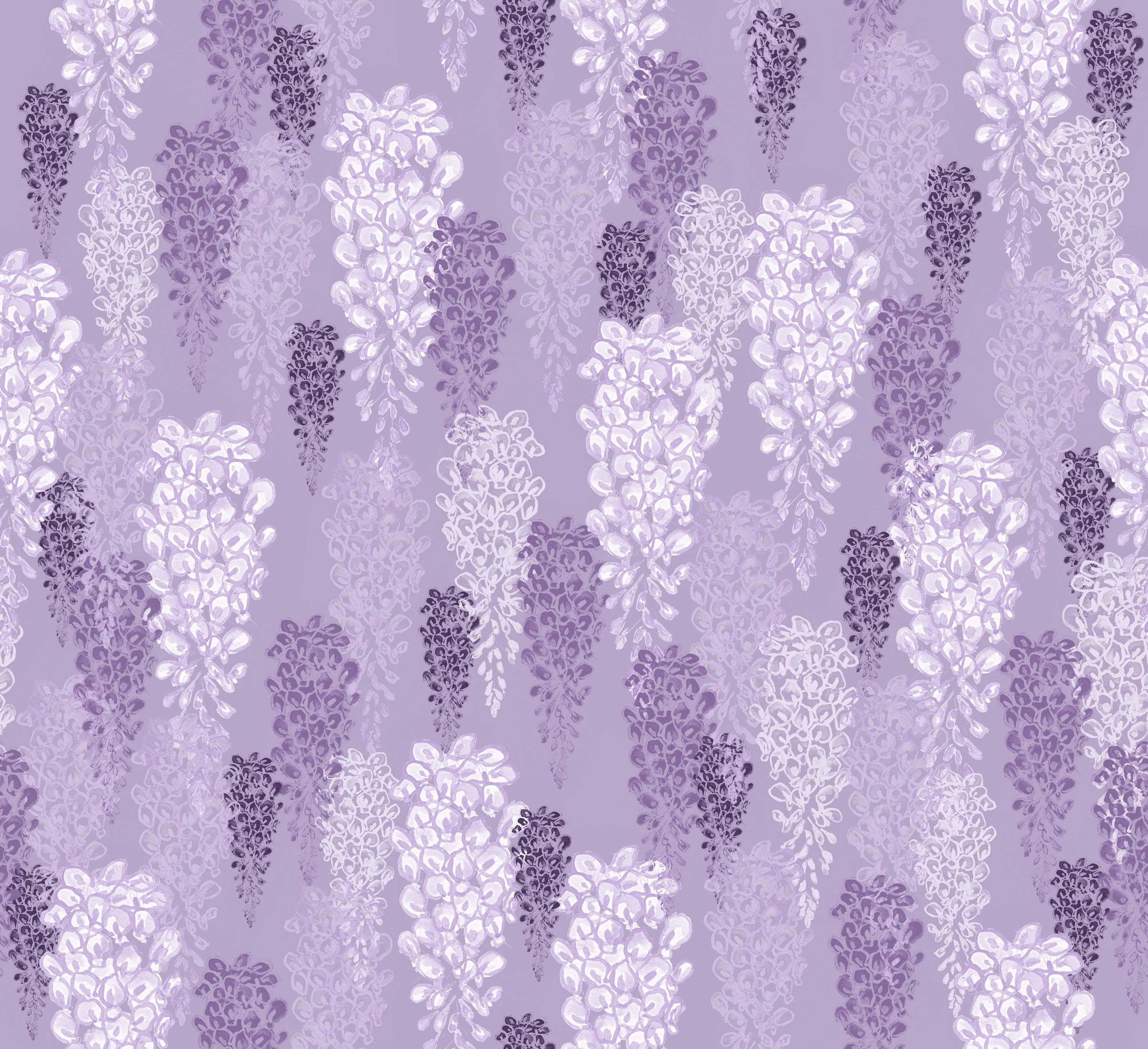 lavender purple, wisteria blossoms, soft lavender, 2K Desktop Wallpaper