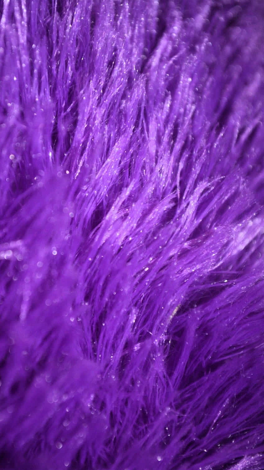 purple fur, vibrant purple, fluffy fibers, HD Phone Wallpaper