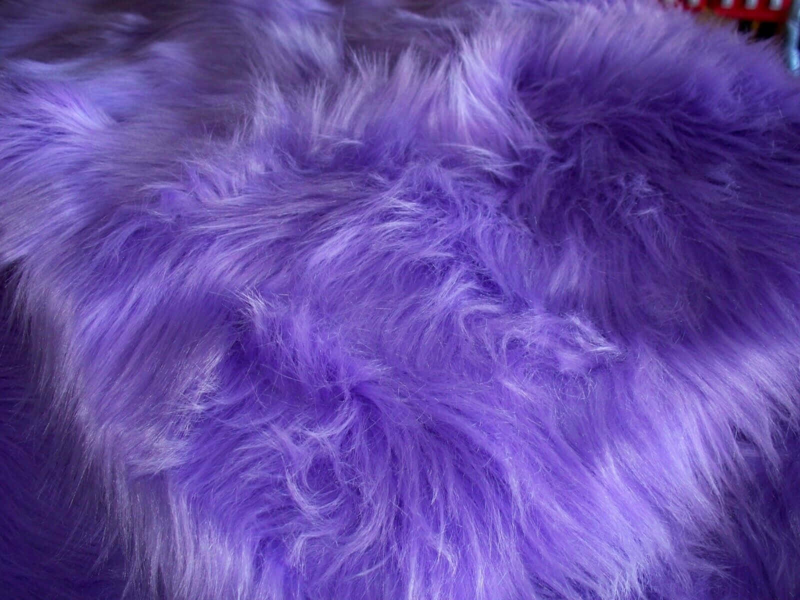 purple faux fur, lush fluffy, textured strands, HD Desktop Wallpaper