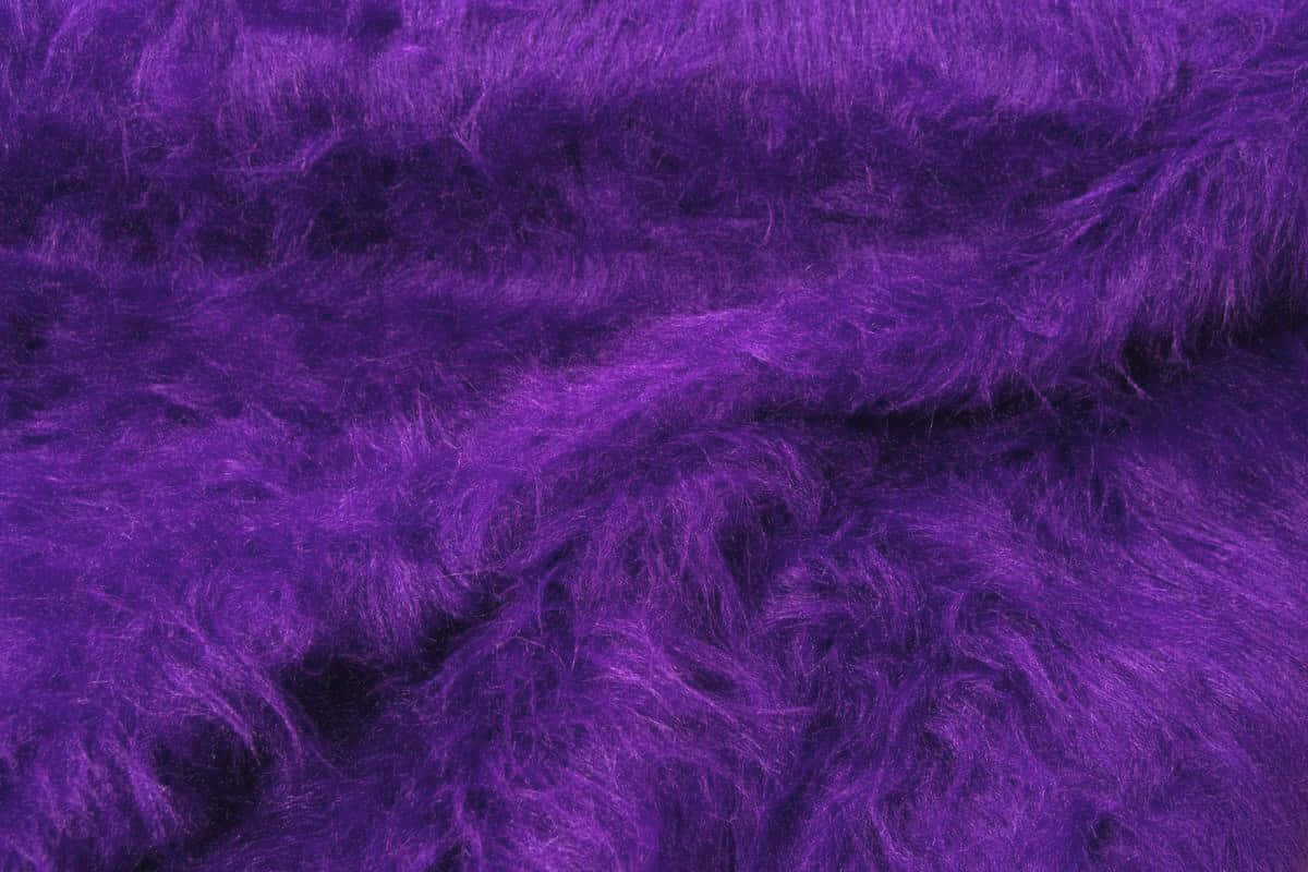 Purple Fur, rich purple, fluffy fabric, SD Desktop Wallpaper