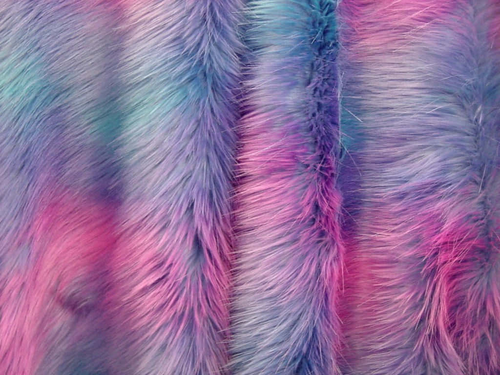colorful faux fur texture, vibrant pastel dyed faux fur, pink purple, SD Desktop Wallpaper
