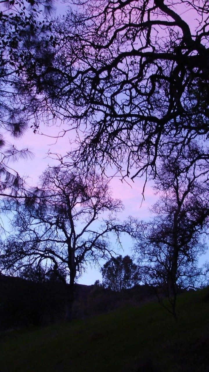purple gothic, vibrant purple, pink twilight sky, HD Phone Wallpaper