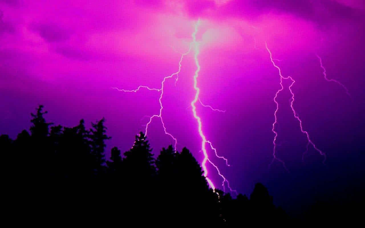 Purple Gothic, purple lightning storm, dark forest silhouette, HD Desktop Wallpaper
