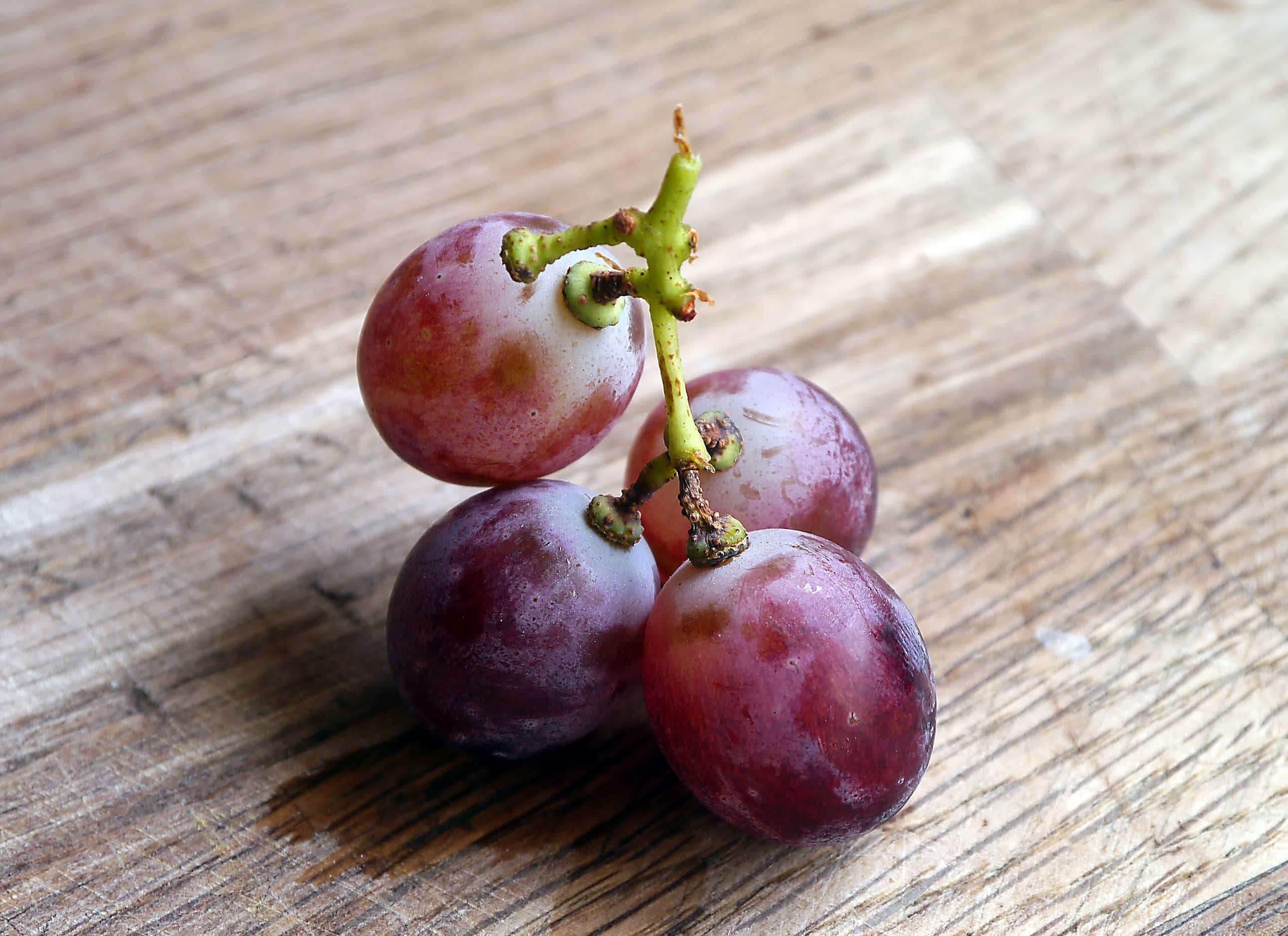 Purple Grapes, plump purple grapes, green stems, 2K Desktop Wallpaper