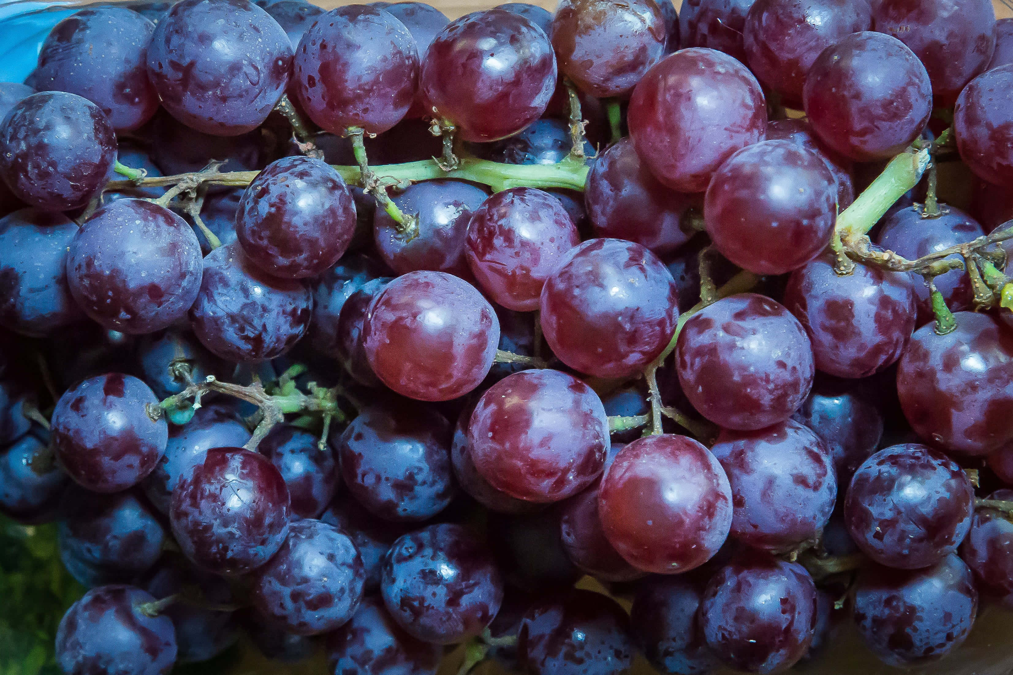 Purple Grapes, deep purple grapes, dewdrops, 2K Desktop Wallpaper