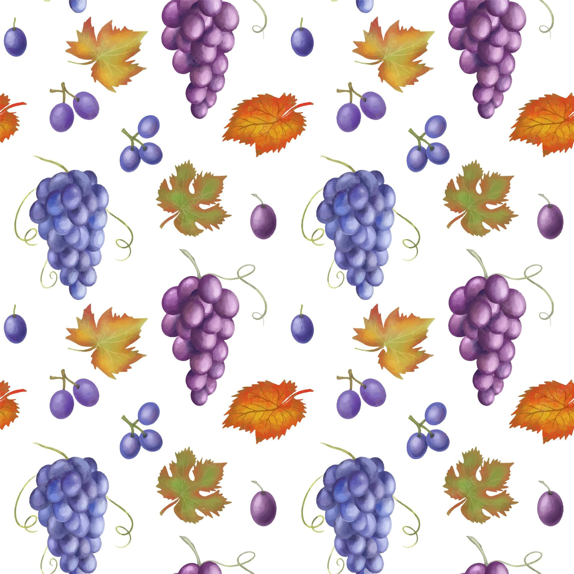 Fresh Purple Grapes Bunch, purple grape clusters, autumn leaves, Full HD Desktop Wallpaper