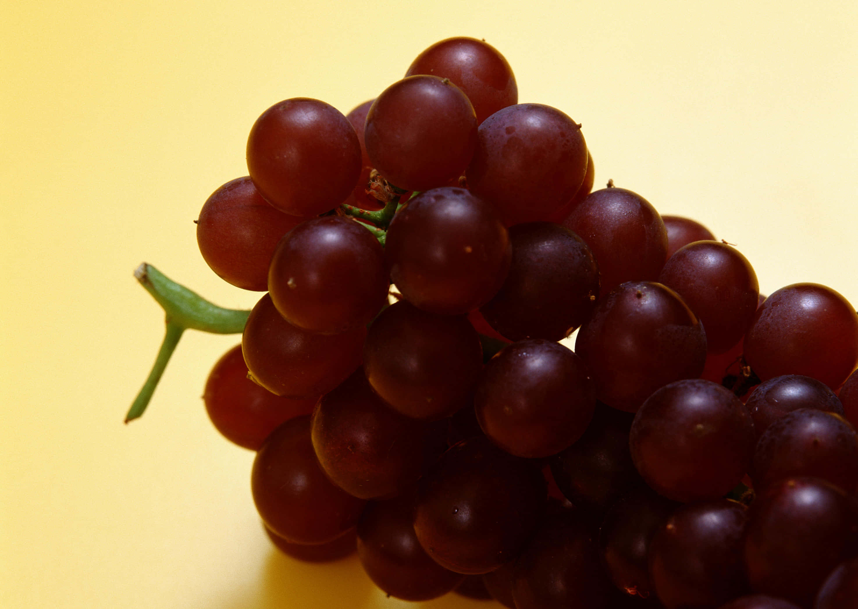 Purple Grapes, dark red grapes, green stem, 2K Desktop Wallpaper