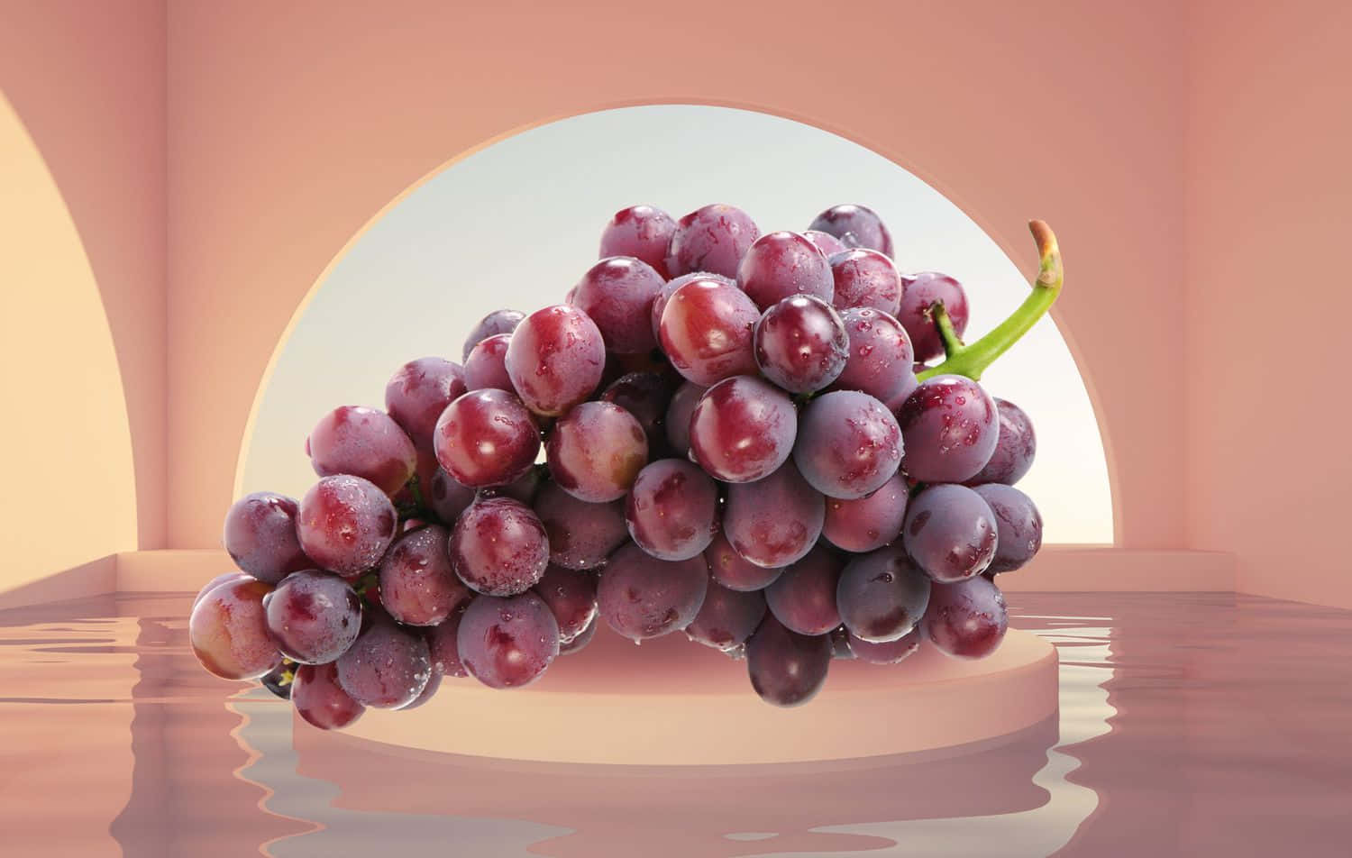 Purple Grapes, glossy cluster of purple grapes, water droplets, HD Desktop Wallpaper