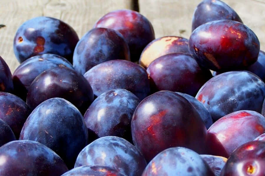 purple plums, dark purple, glossy skin, SD Desktop Wallpaper