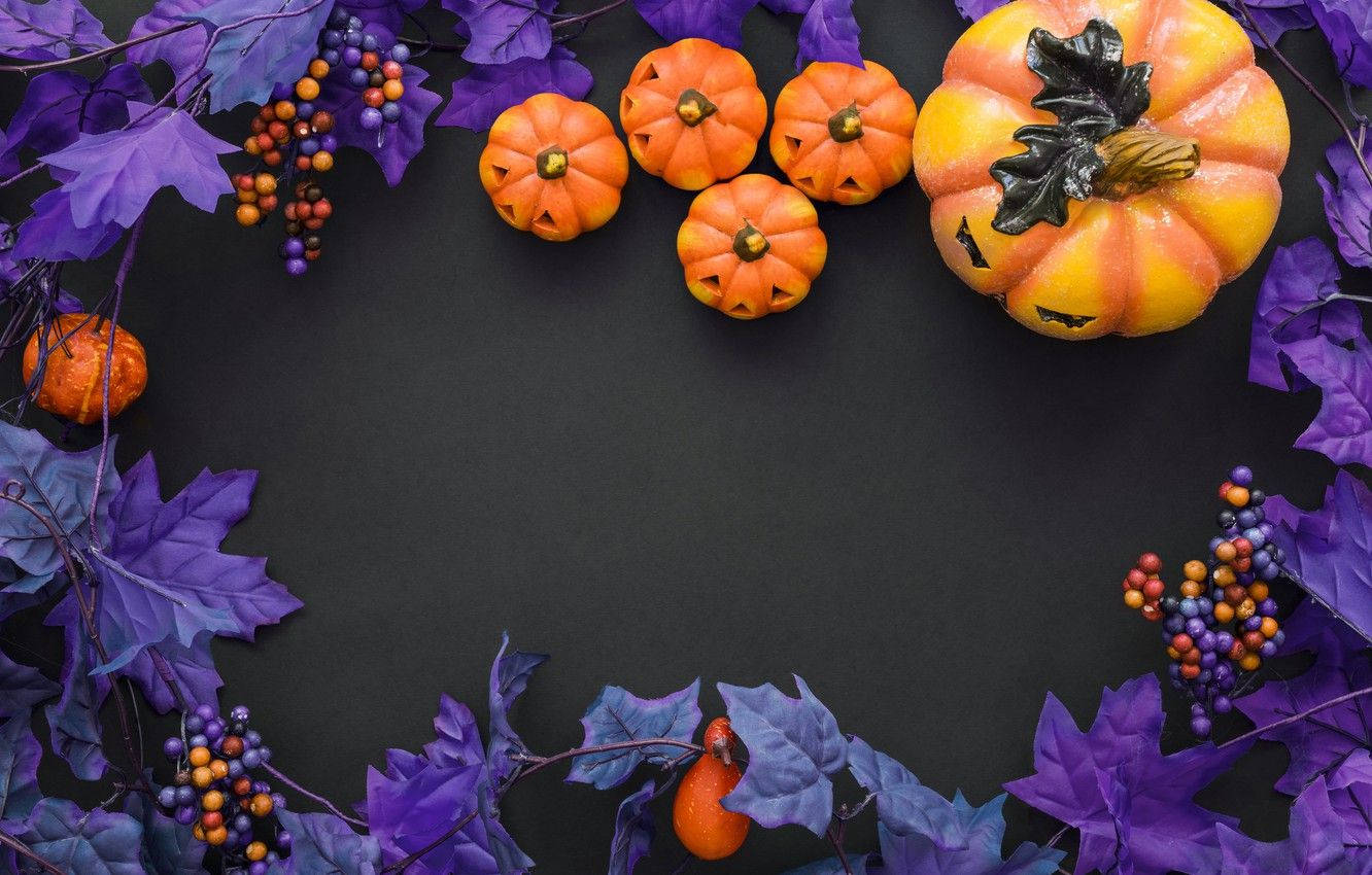 Halloween, pumpkin, vibrant orange, HD Desktop Wallpaper