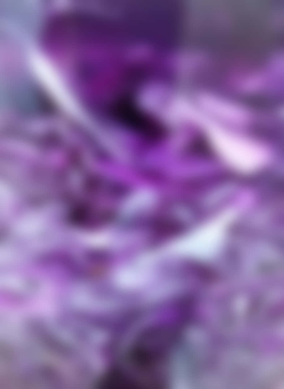 Purple Haze, deep purples, light lavenders, SD Phone Wallpaper