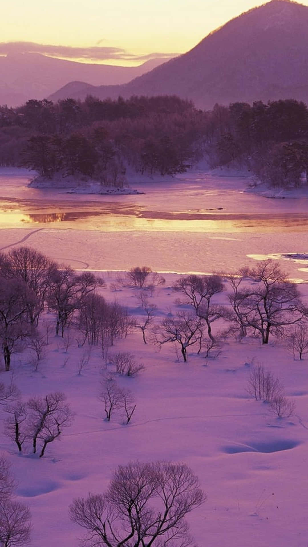 Purple Haze, winter sunset, snow-covered trees, Full HD Phone Wallpaper