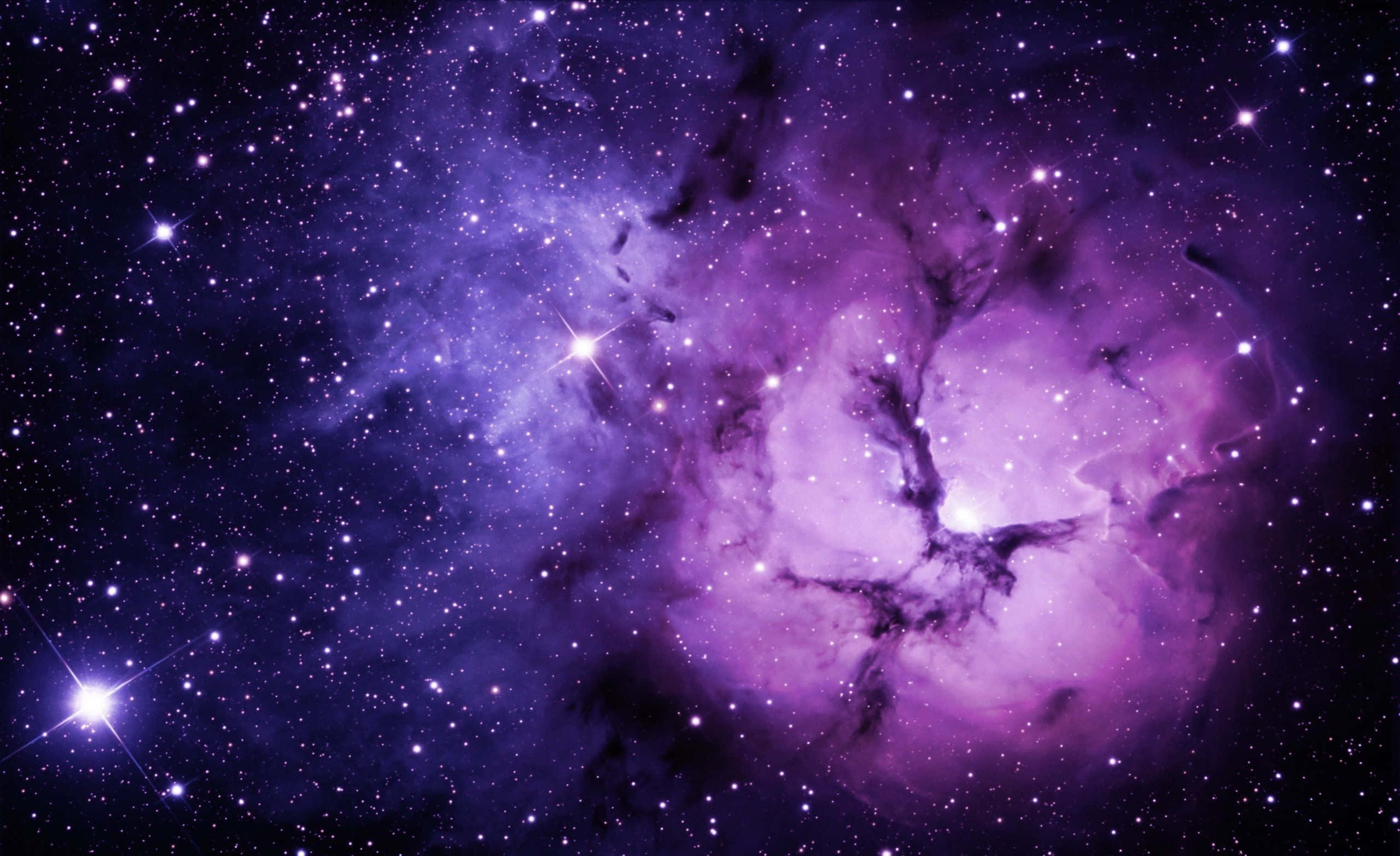 Purple Nebula, glowing stars, deep cosmic void, 2K Desktop Wallpaper