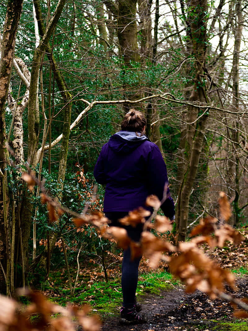 purple hoodie, forest trail, bare trees, SD Phone Wallpaper