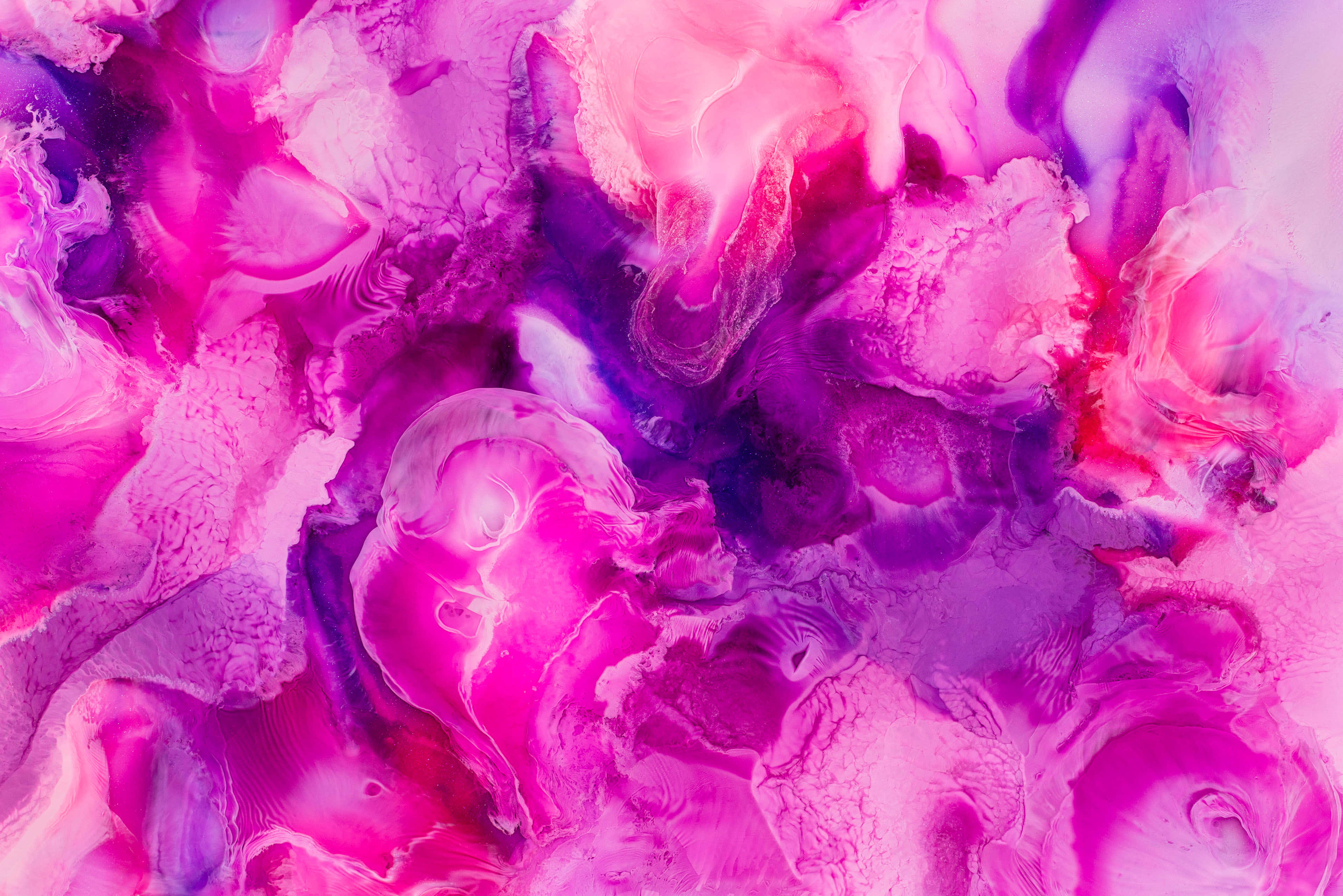Purple Ink, vibrant pink and purple liquid paints, organic fluid patterns, 4K Desktop Wallpaper