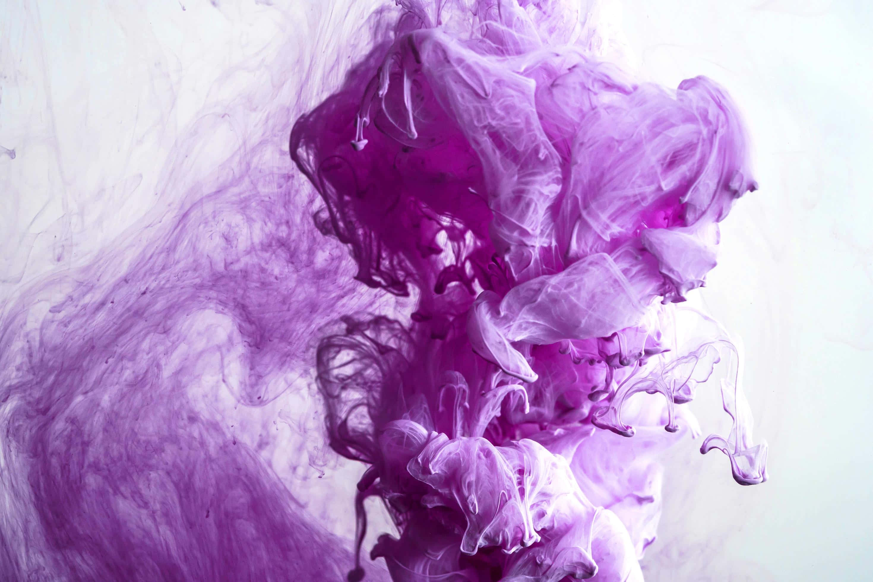 purple ink, deep purple, vivid purple, 2K Desktop Wallpaper