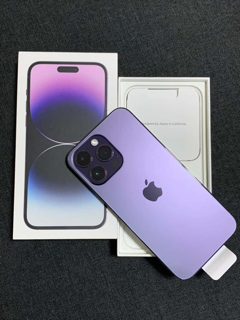 iPhone 14 Pro, purple, gradient display, SD Phone Wallpaper
