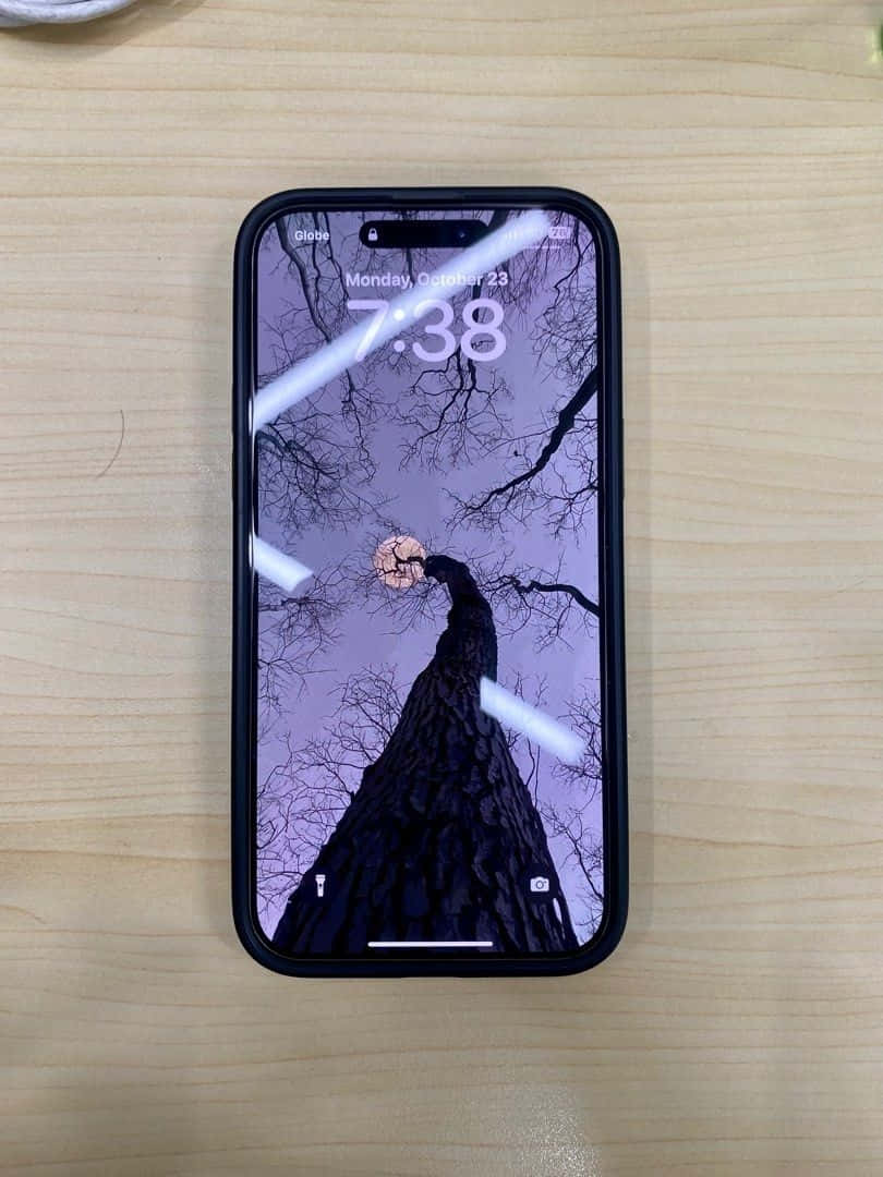 Purple iPhone 14 Pro Max, Halloween Theme, tree with bare branches, SD Phone Wallpaper