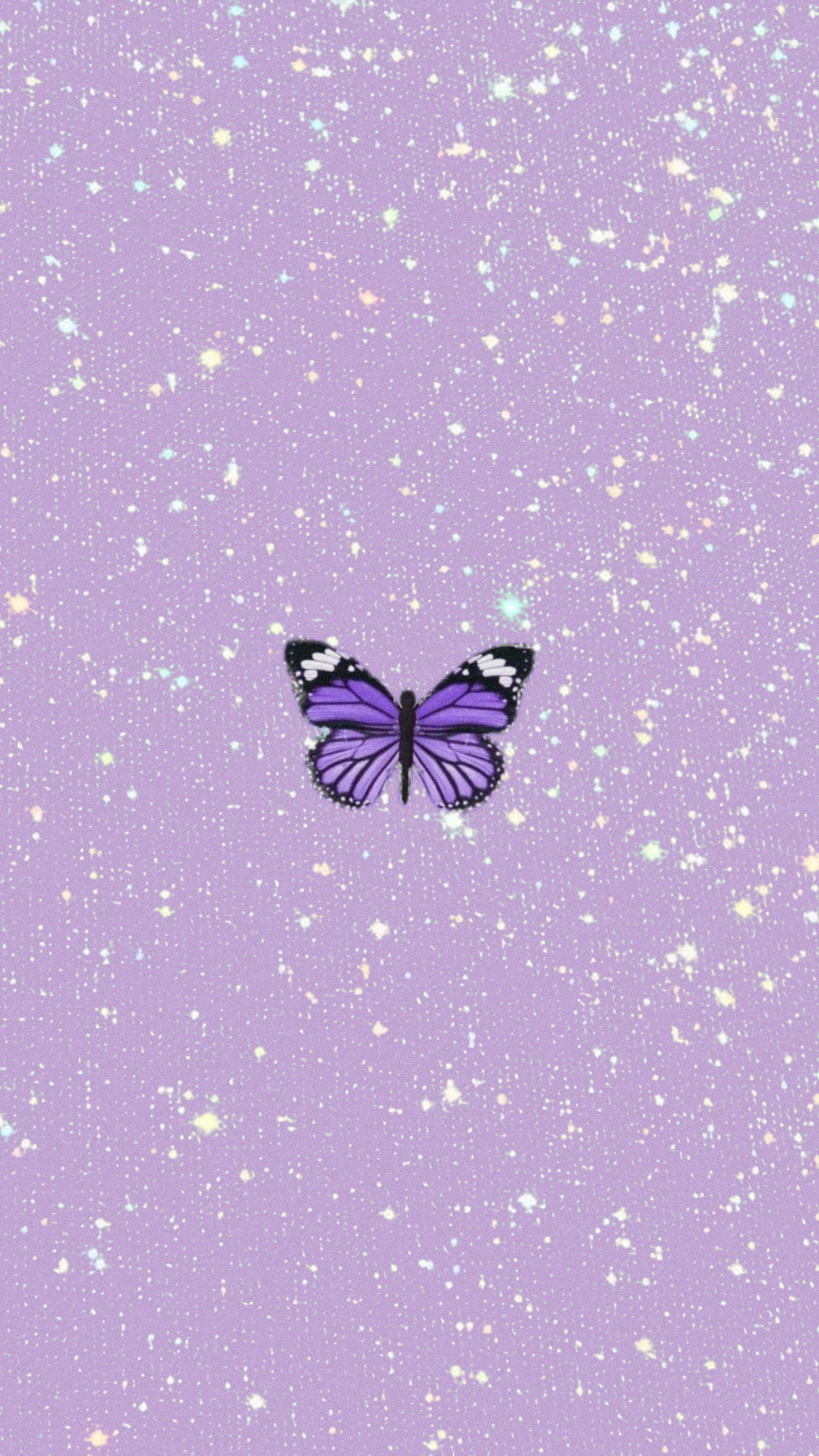 Purple Pastel iPhone, butterfly, black and white accents, 2K Phone Wallpaper