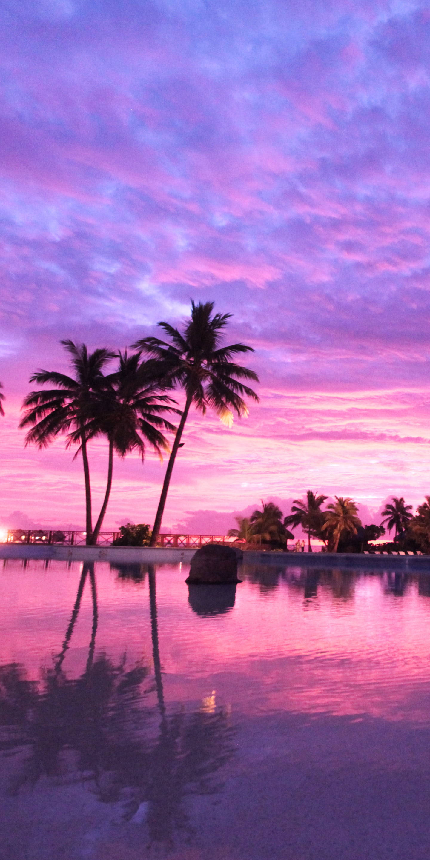 iPhone 7, beach, vibrant pink and purple sunset sky, 2K Phone Wallpaper