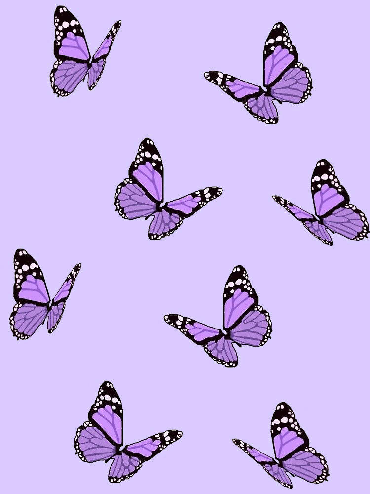 Purple iPhone, butterfly aesthetic, purple and black butterflies, SD Phone Wallpaper
