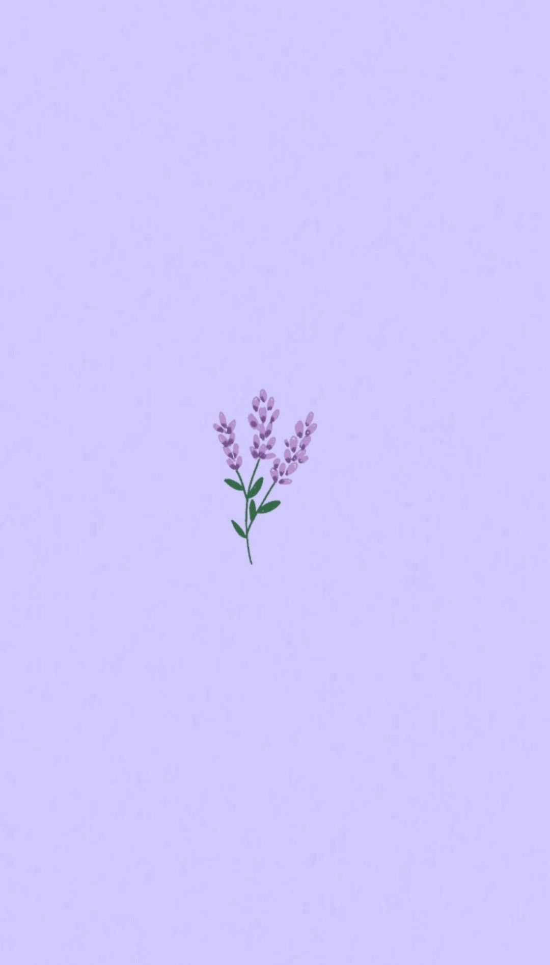 light purple aesthetic, lavender flower, tiny purple blooms, HD Phone Wallpaper