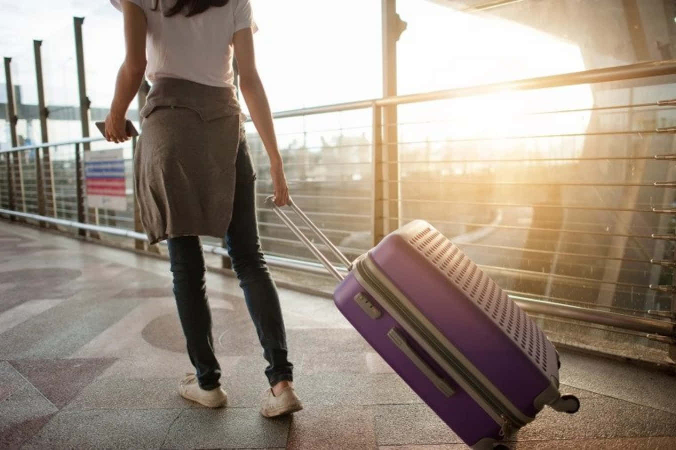 purple suitcase, sunlit modern station, warm backlighting, HD Desktop Wallpaper