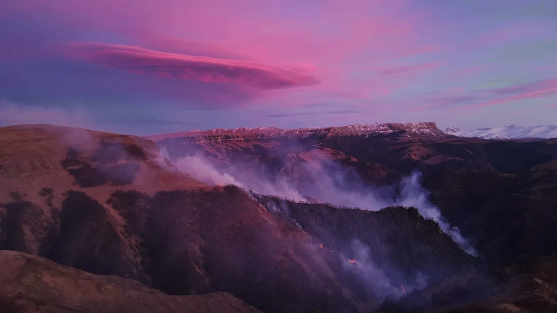 Purple Mountains Majesty