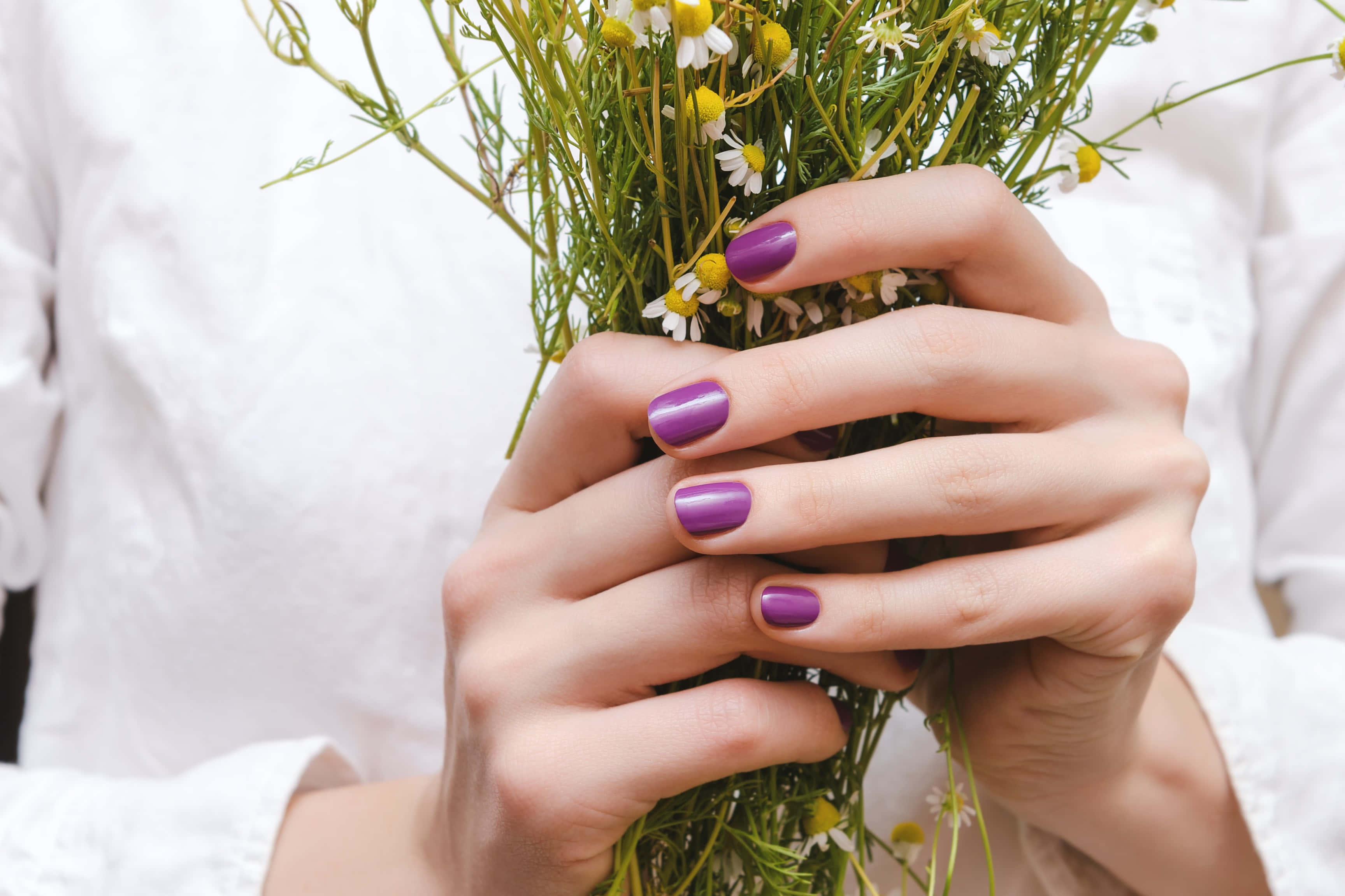 purple nails, daisies, green stems, 2K Desktop Wallpaper
