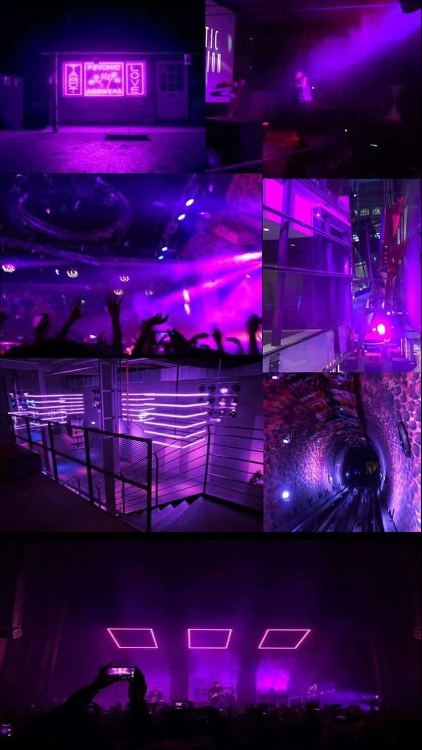 violet neon, neon lights, nightlife scene, HD Phone Wallpaper