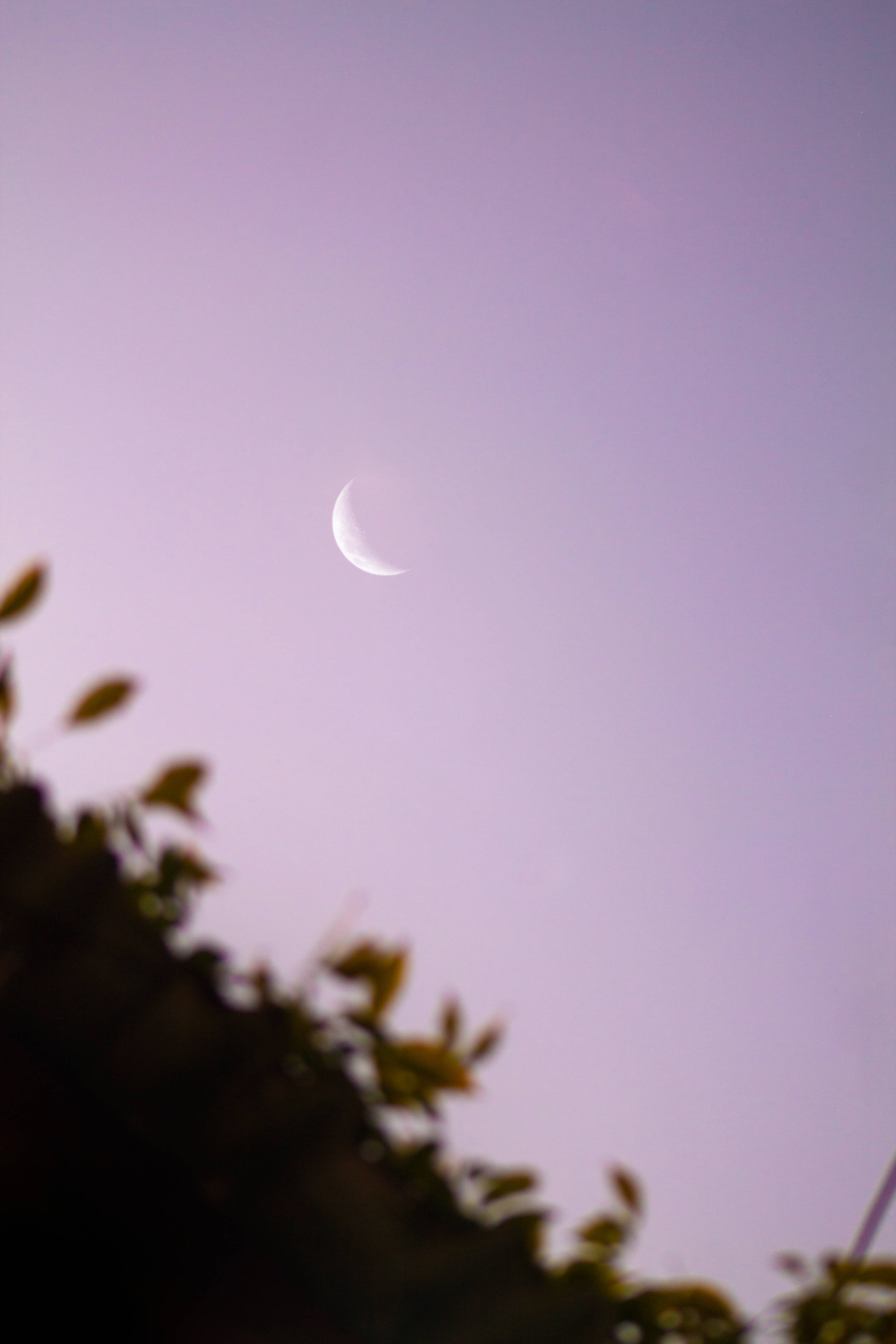 purple pastel aesthetic, crescent moon, lavender twilight sky, 4K Phone Wallpaper