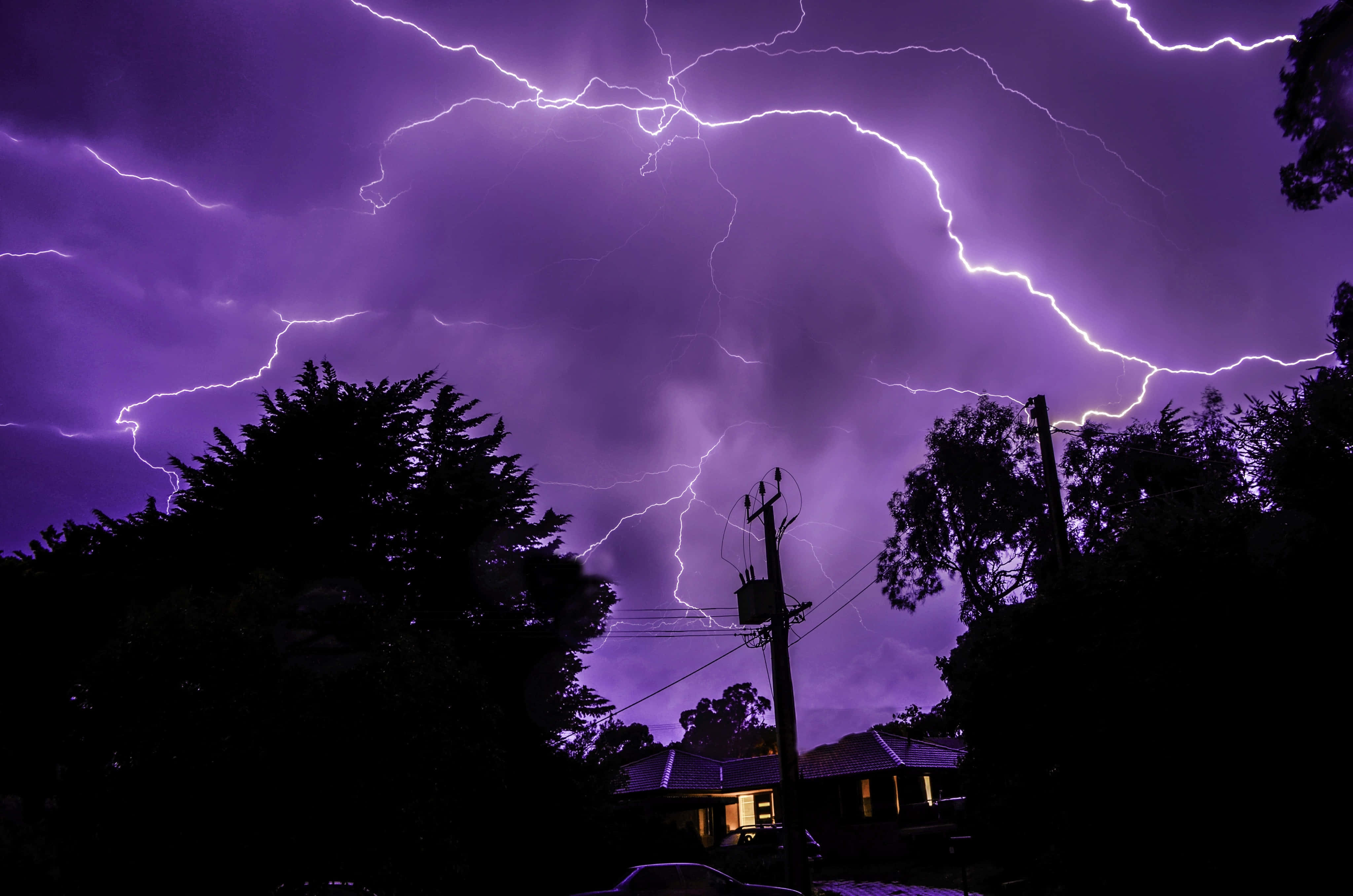 Purple Lightning, stormy sky, silhouetted trees, 4K Desktop Wallpaper