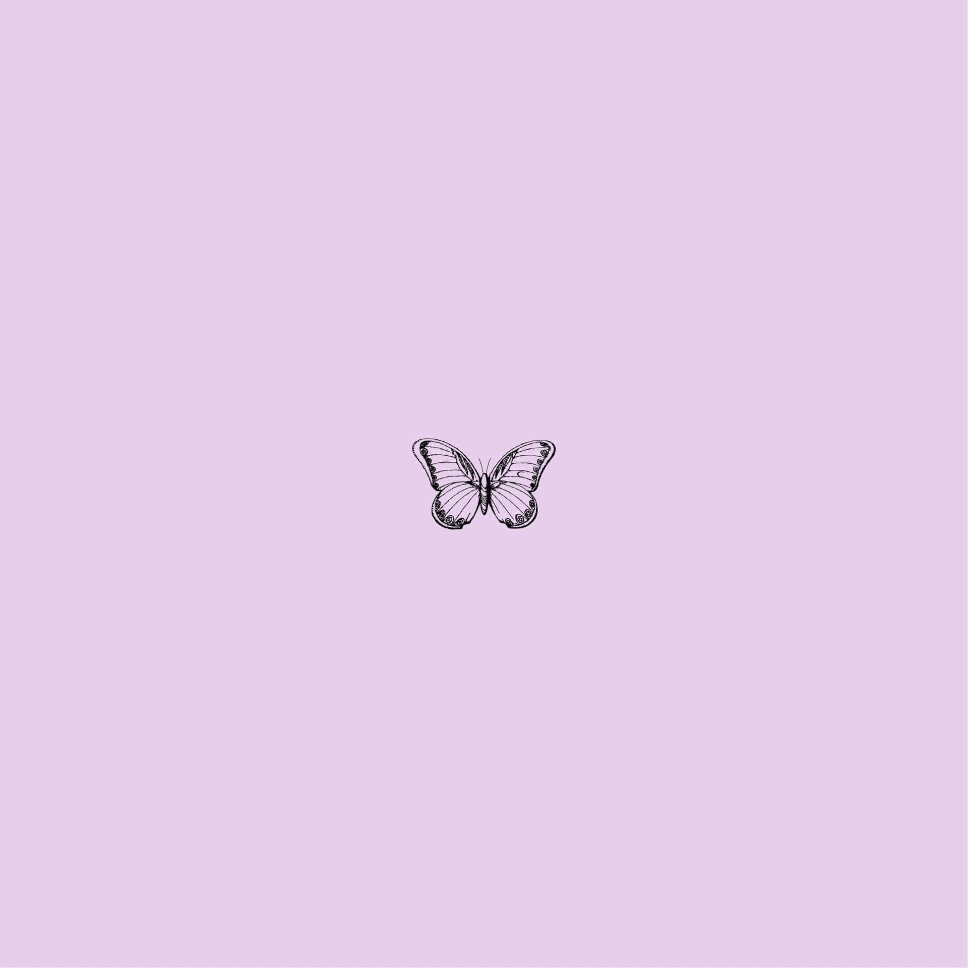 purple butterfly, black line drawing, butterfly, Full HD Desktop Wallpaper