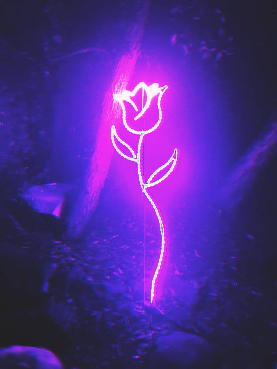neon rose, white neon rose outline, dark forest, HD Phone Wallpaper