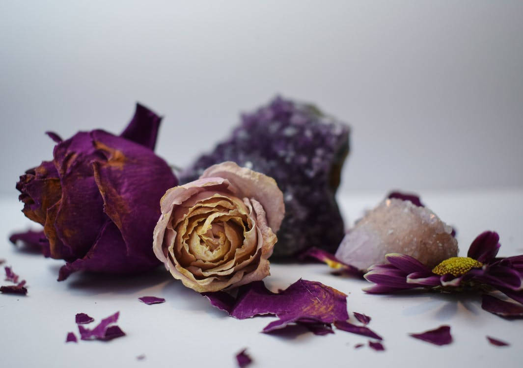 dried purple roses, amethyst crystals, white surface, SD Desktop Wallpaper
