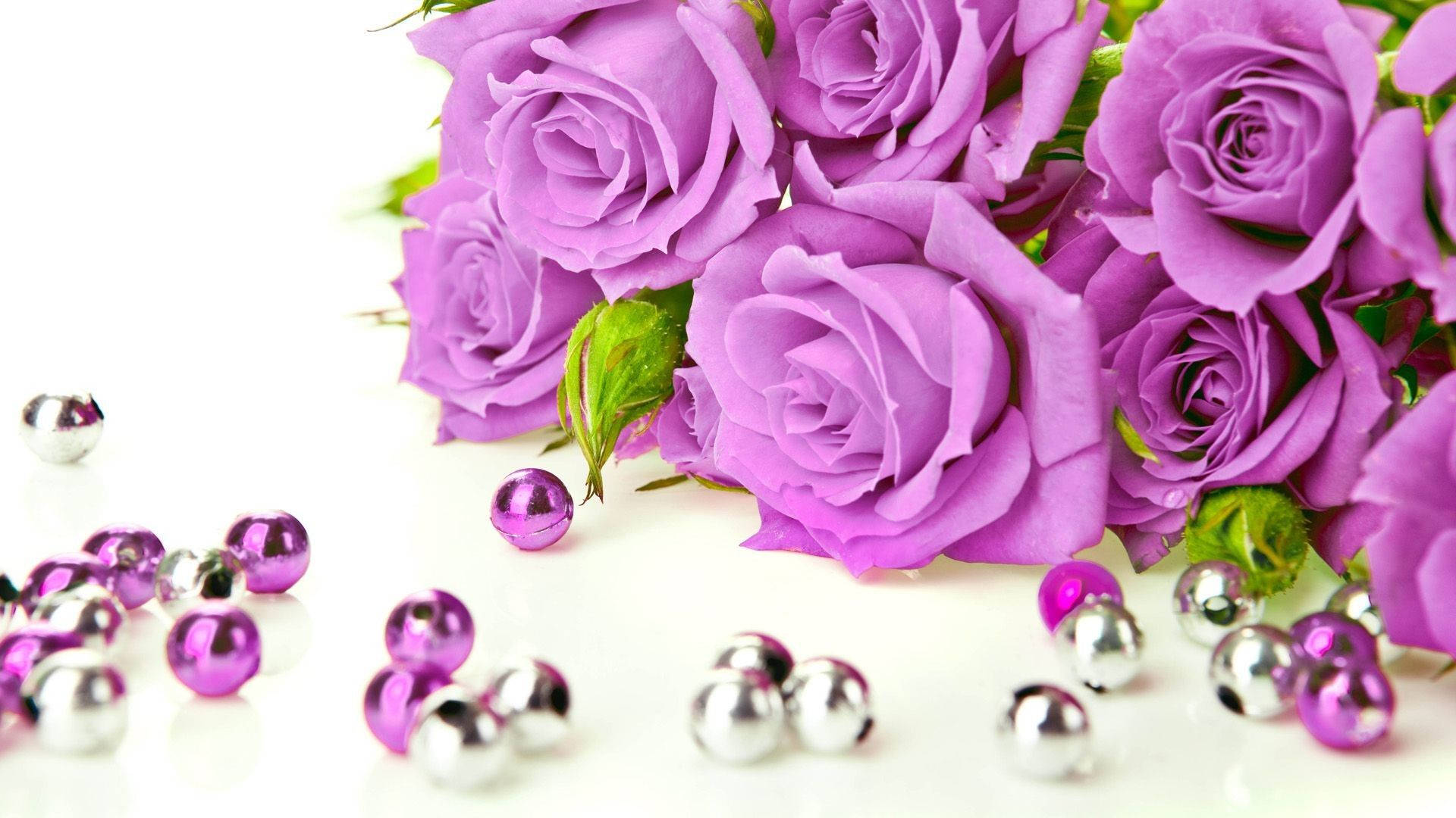 purple roses, green stems, shiny purple and silver beads, Full HD Desktop Wallpaper
