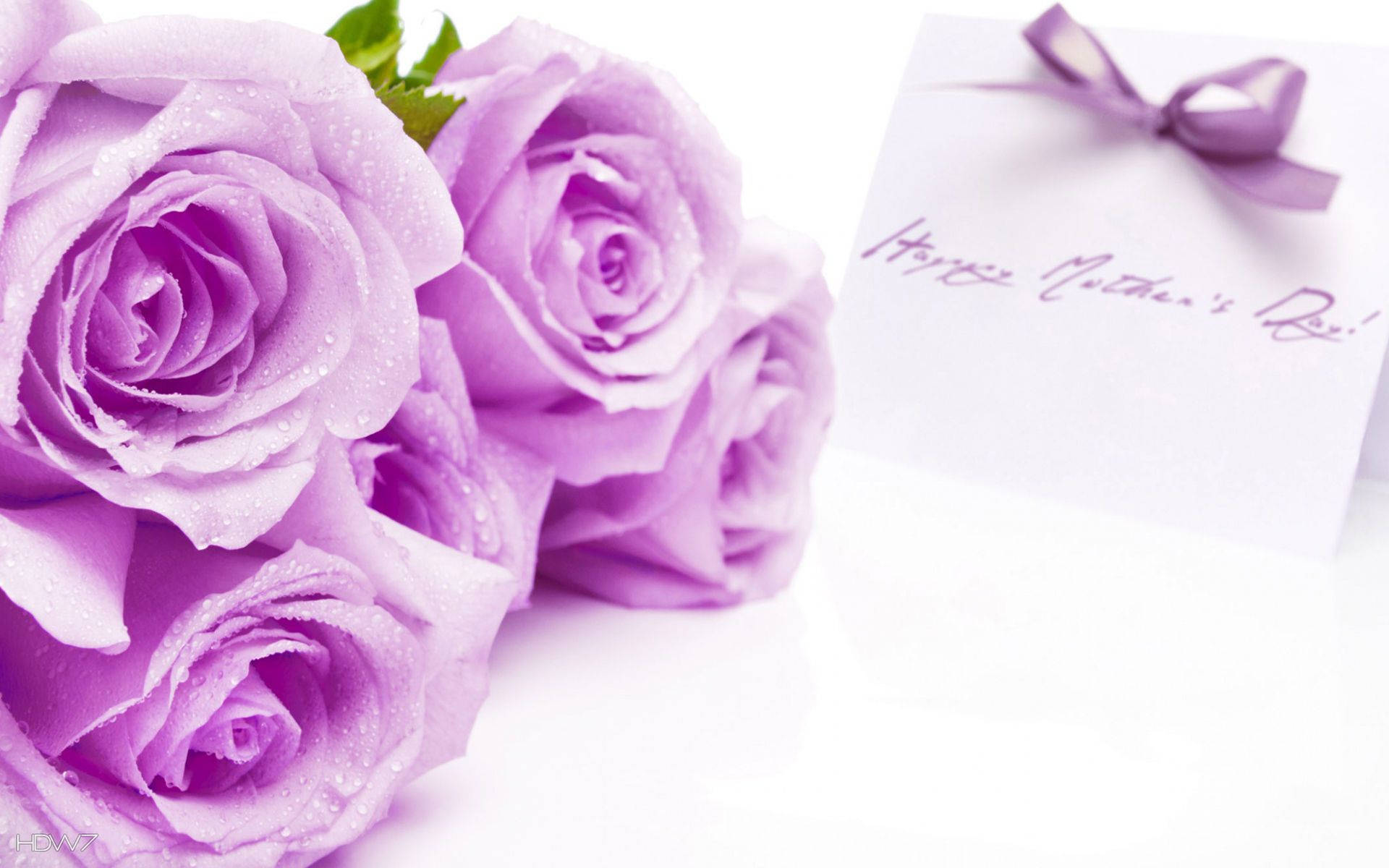 Purple Roses, Mother's Day, lavender roses, Full HD Desktop Wallpaper