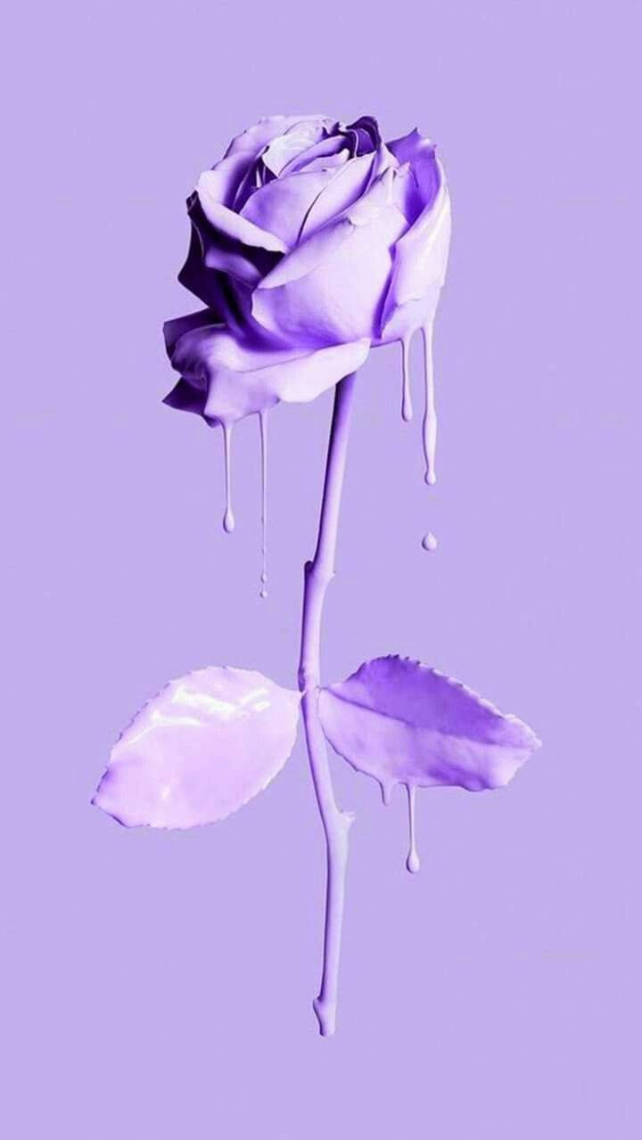 minimalist purple rose drip art, purple rose, paint dripping, SD Phone Wallpaper