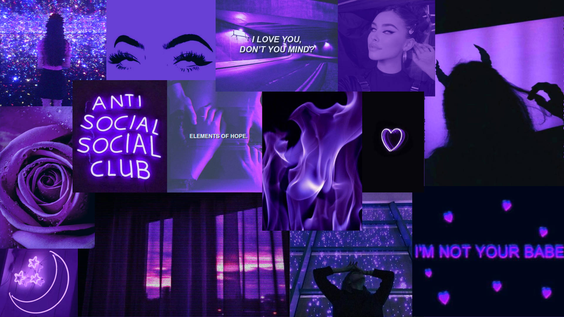 Purple Rose, neon text, glowing hearts, Full HD Desktop Wallpaper