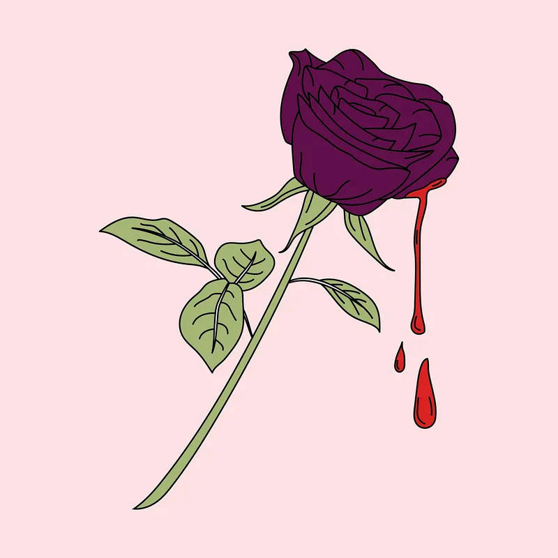 Purple Rose, dark purple rose, red liquid dripping, SD Desktop Wallpaper