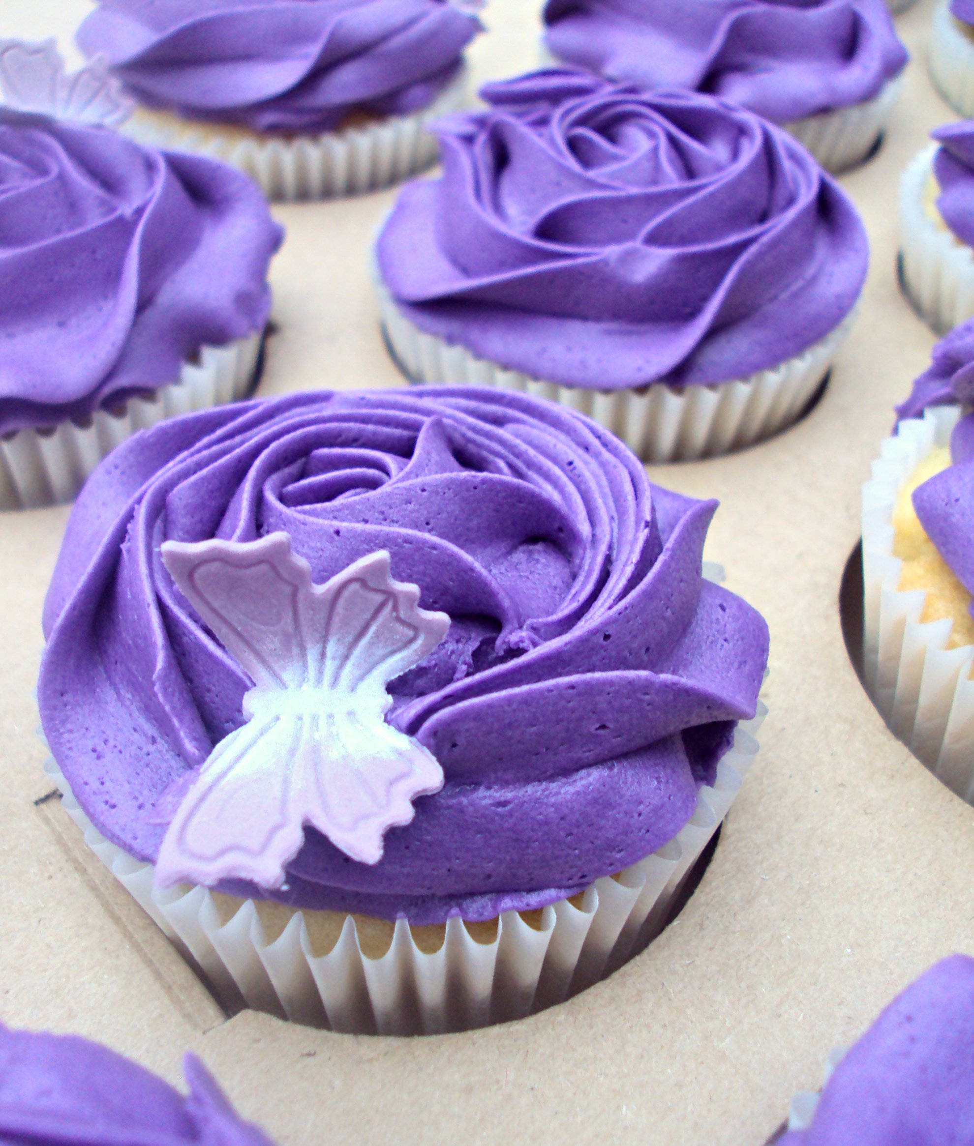 Purple Rose, purple rose frosting, white butterfly toppers, Full HD Phone Wallpaper