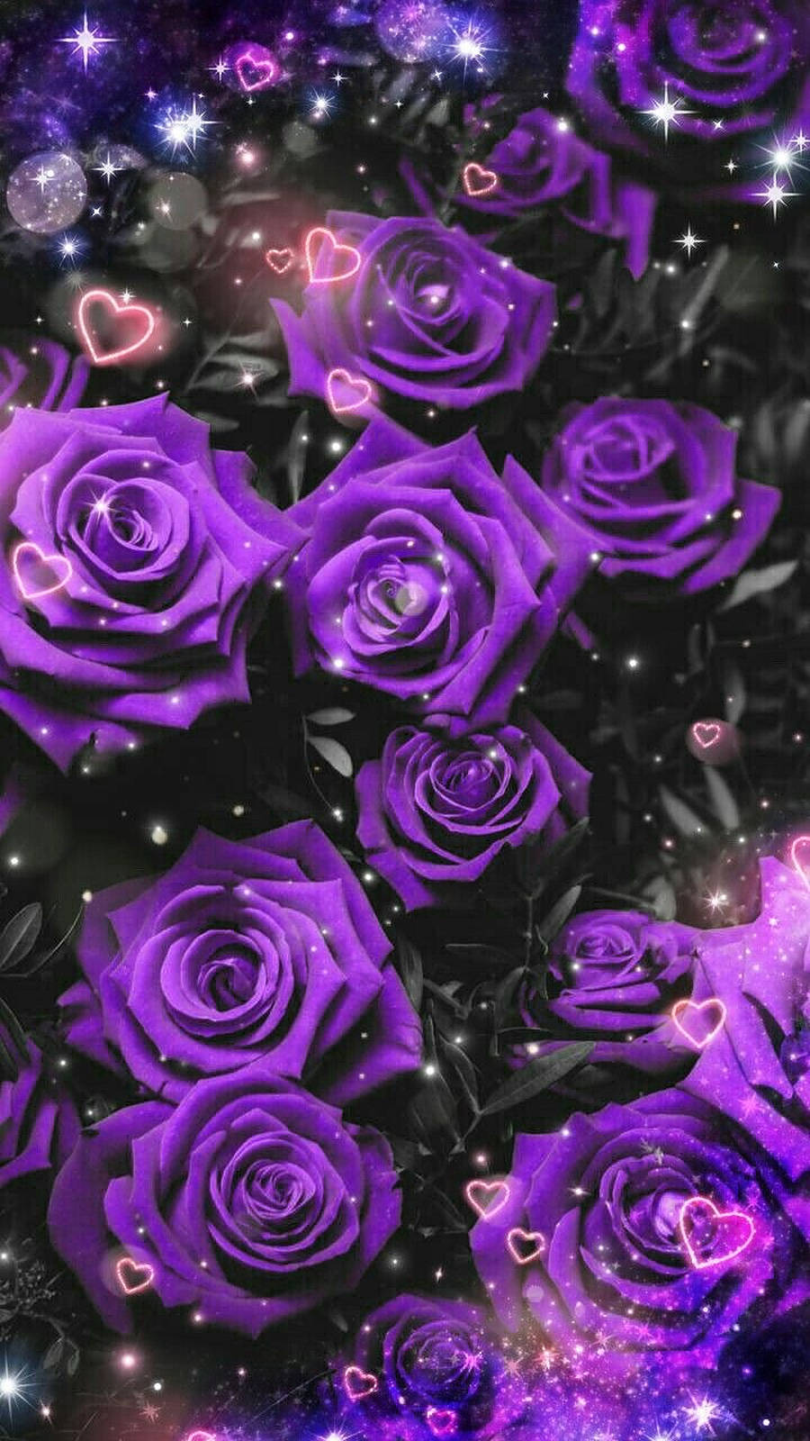 Purple Roses, sparkling stars, glowing pink hearts, HD Phone Wallpaper