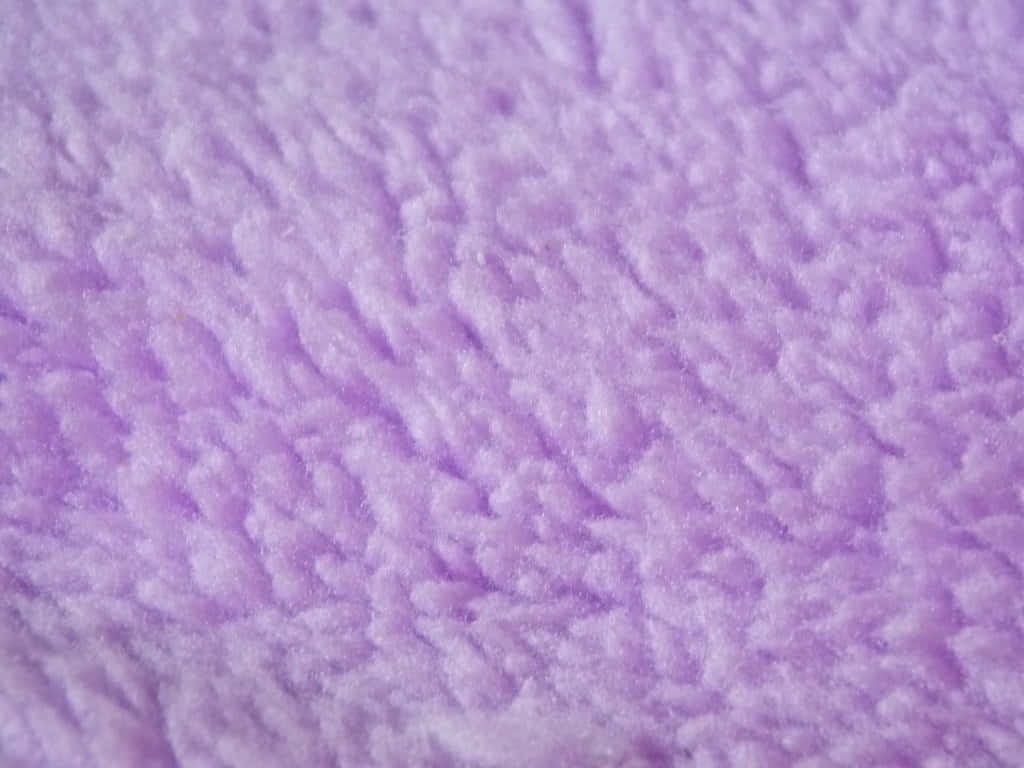 purple fur, lavender fabric, textured pile, SD Desktop Wallpaper