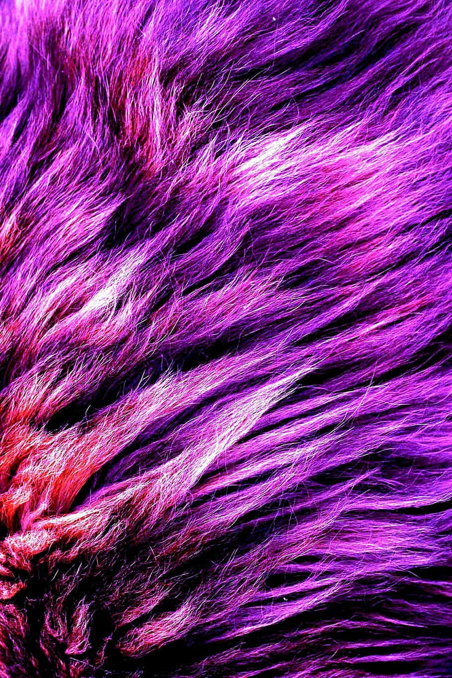 purple faux fur, vibrant purple, magenta fur, HD Phone Wallpaper
