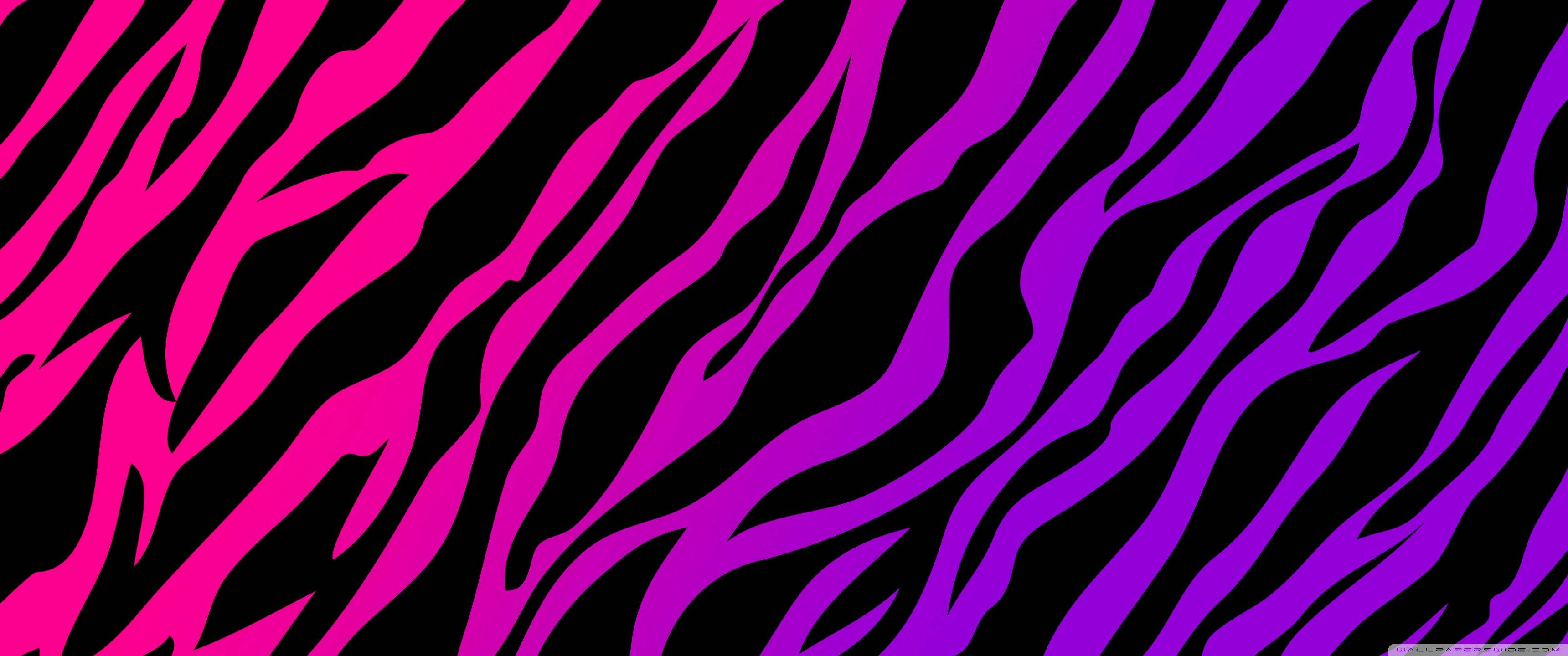 hot pink, purple zebra pattern, black background, 2K Desktop Wallpaper