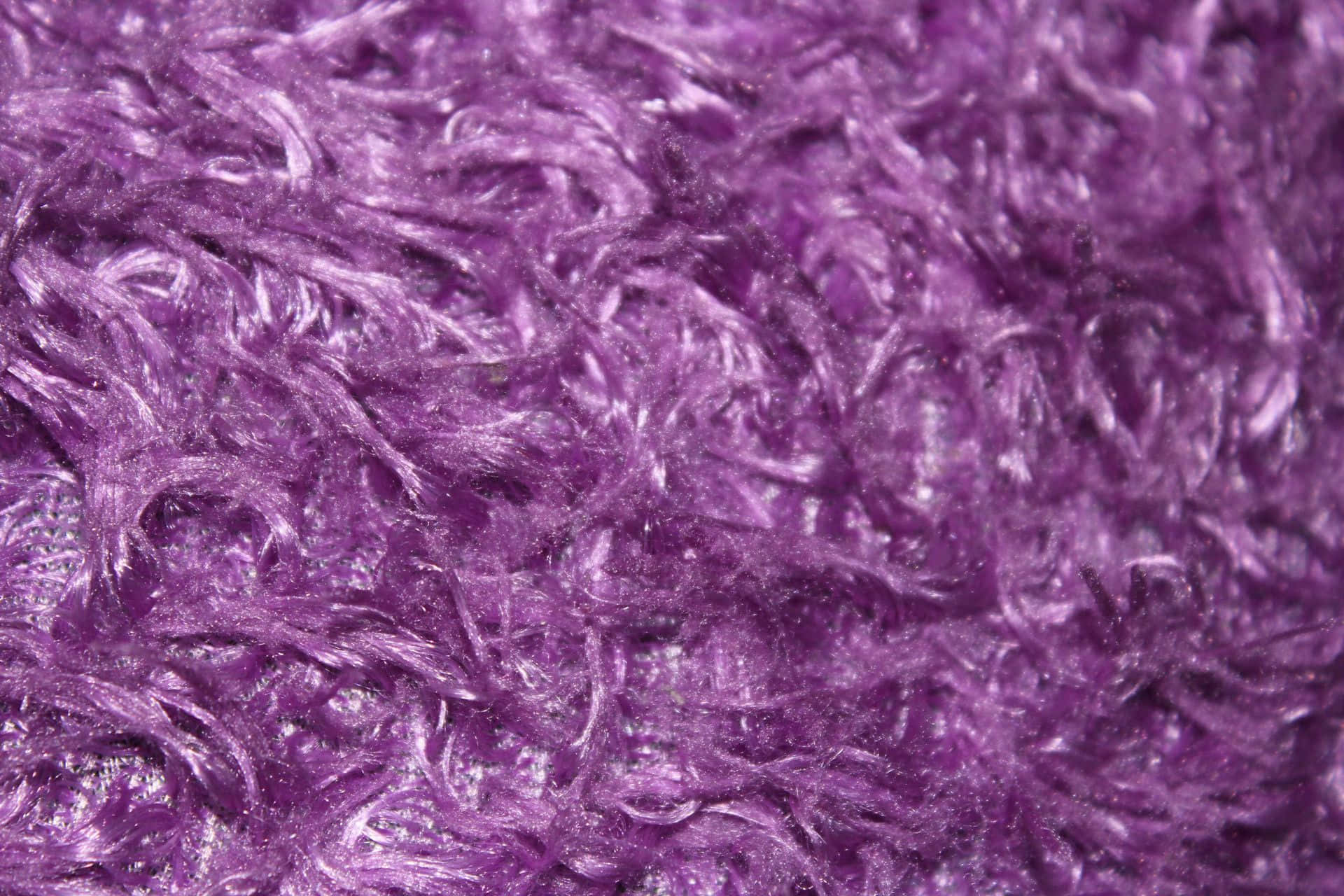 purple fur, plush purple carpet, soft sheen, Full HD Desktop Wallpaper