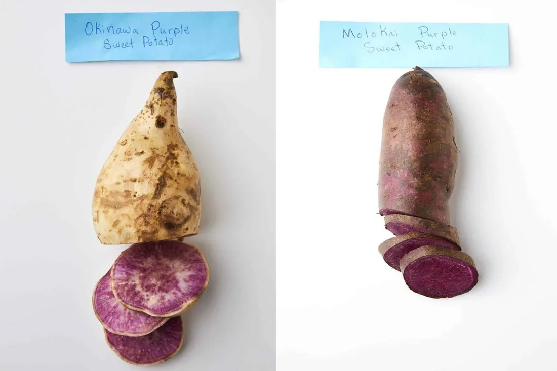 Purple Sweet Potato